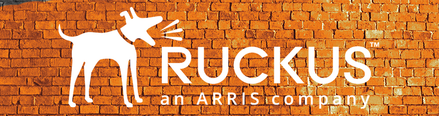 Ruckus Promo 879x234
